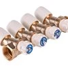 Hep2O 15mm X 3/4 Inch Brass 4 Port Manifold