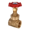 Brass General Purpose BSP Threaded Gate Valve – 2″